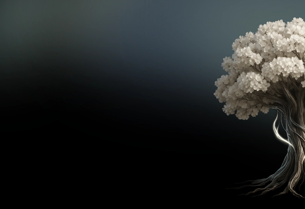 360° IT-Trans-<br>formations Partner